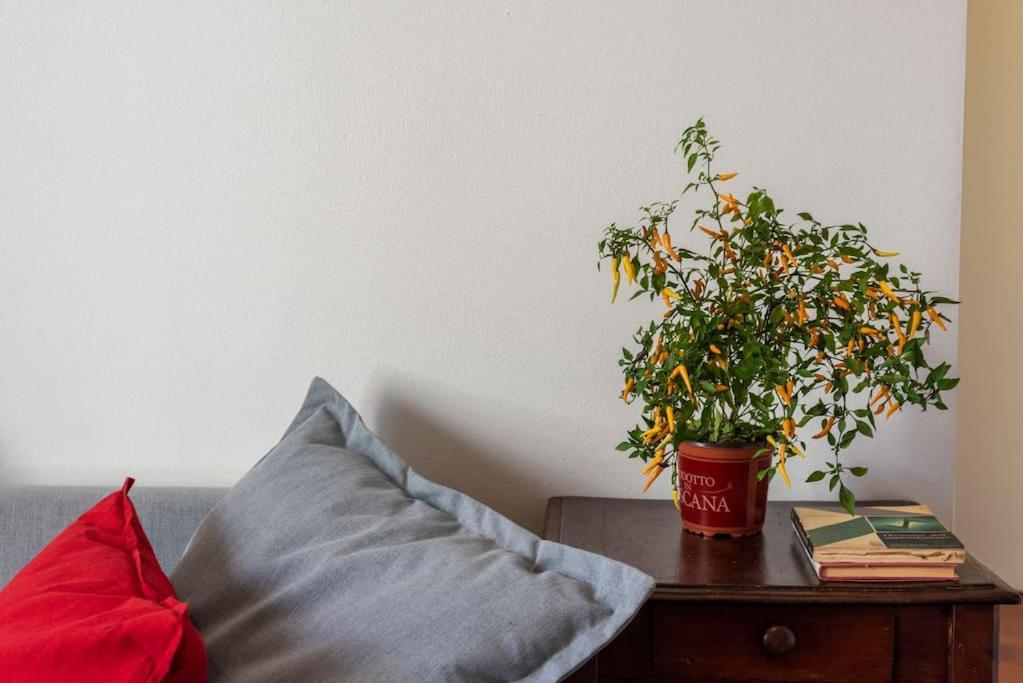Apartment Renovated 19th Century